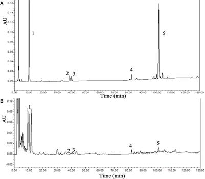 Shen-Ling-Bai-Zhu-San Improves Dextran Sodium Sulfate-Induced Colitis by Inhibiting Caspase-1/Caspase-11-Mediated Pyroptosis